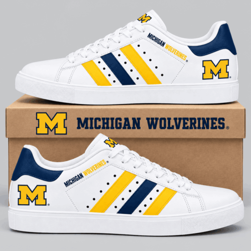 Michigan Wolverines | NCAA Stripe Low Top Sneakers TD